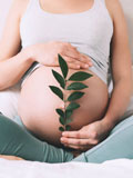 Antenatal Care