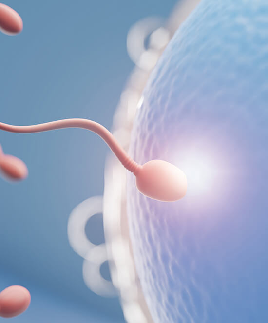 Best ICSI (Intracytoplasmic sperm injection) Hospital in Saharanpur
