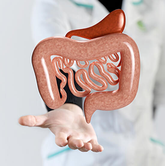 Major GI Surgery